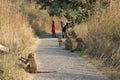 Monkey family sitting in park by victoria falls in simbabwe in africa.