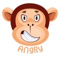 Monkey is feeling angry, illustration, vector