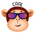 Monkey is feeling cool, illustration, vector