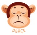 Monkey is feeling peaceful, illustration, vector