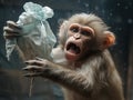 monkey fighting with a plastic bag