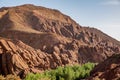 Monkey fingers in the Dades Valley, Marrakech, Morocco Royalty Free Stock Photo