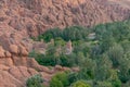 Monkey fingers or fingers of God or feet of God or brain of the Atlas in the Gorge of Dades. Morocco Royalty Free Stock Photo