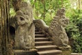 Ubud Monkey Forest