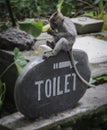 Monkey forest toilet