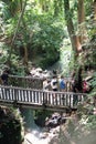 Monkey Forest in Ubud, Bali Indonesia