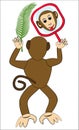 Monkey frolic with mirror. Monkey face in mirror. Monkey holding a palm leaf.