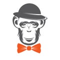 Monkey gentleman in Hat