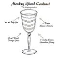 Monkey Gland cocktail alcoholic recipe vector sketch