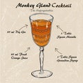 Monkey Gland cocktail alcoholic recipe vector sketch