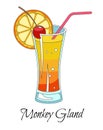 Monkey gland cocktail with red straw and slice of orange Royalty Free Stock Photo