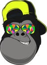 Monkey with glasses Royalty Free Stock Photo