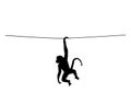 Monkey hanging illustration isolated on white background