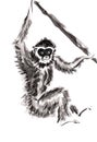 Monkey hanging on the branch. Hand drawn in chinese ink with paper texture. Inkdrawn collection. Bitmap image Royalty Free Stock Photo