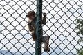 Monkey hanging from the fence Royalty Free Stock Photo