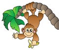Monkey hanging on palm tree Royalty Free Stock Photo