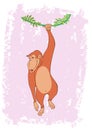 Monkey Hanging On Tree Vine Illustration Royalty Free Stock Photo