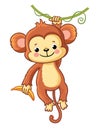 The monkey hangs on a branch. Royalty Free Stock Photo