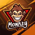 Monkey head esport mascot logo design Royalty Free Stock Photo