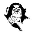 Monkey head (graphics) - chimpanzees