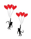 Monkey silhouette holding red balloons isolated on white background Royalty Free Stock Photo