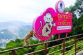 Monkey Hill viewpoint