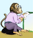 Monkey holding paper Royalty Free Stock Photo