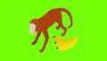 Monkey icon animation