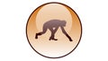 Monkey icon vector design