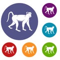 Monkey icons set