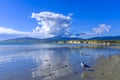 Monkey Island Beach in New Zealand