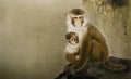 Monkey and its baby on cliff,Chinese realistic painting