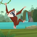 monkey jumping. wild jungle monkey at tree branches Royalty Free Stock Photo