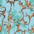 Monkey jungle seamless pattern Royalty Free Stock Photo