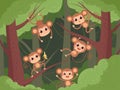 Monkey in jungle. Wild little animals playing on tree and liana and chimpanzee eating fruits banana vector cartoon