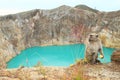 Monkey on Kelimutu by lake Tin Royalty Free Stock Photo