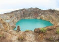 Monkey on Kelimutu with lakes Tin and Tap Royalty Free Stock Photo