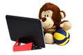The monkey looks tablet. Isolated Royalty Free Stock Photo