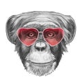 Monkey in Love! Portrait of Monkey with heart shaped sunglasses.