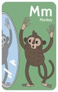 Monkey M letter. A-Z Alphabet collection with cute cartoon animals in 2D.Monkey standing with raised arms and looking