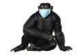 Monkey in a medical mask, conceptual 3D illustration