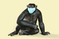 Monkey in a medical mask, conceptual 3D illustration