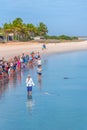 MONKEY MIA, AUSTRALIA, JANUARY 13, 2020: Dolphin feeding show at Monkey Mia resort in Australia