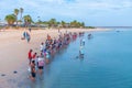 MONKEY MIA, AUSTRALIA, JANUARY 13, 2020: Dolphin feeding show at Monkey Mia resort in Australia