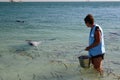 A volunteer ready to feed a dolphin. Monkey Mia. Shark Bay. Western Australia