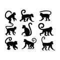 monkey movement silhouette set Royalty Free Stock Photo