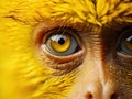 Monkey yellow close up Macaca fascicularis Made With Generative AI illustration