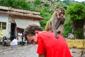 Monkey on my Back