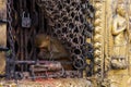 Monkey near an ornate temple