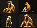 The monkey, one of 12 chinese zodiac animal, 4 styles of waiting mood as a low polygon gold model on black background.